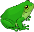 C:\Users\User\Desktop\green-frog-clipart.png